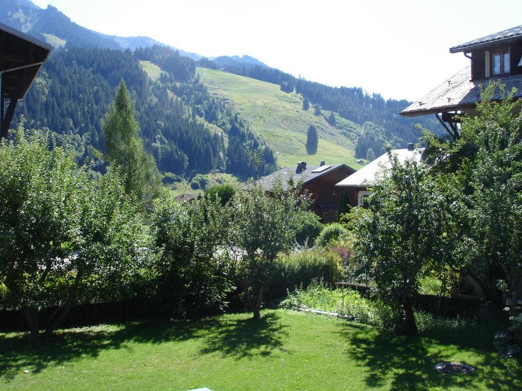 La Ferme Du Chateau Abondance Buitenkant foto